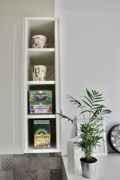 New Studio Apartment In Central Budapest - Free Parking エクステリア 写真